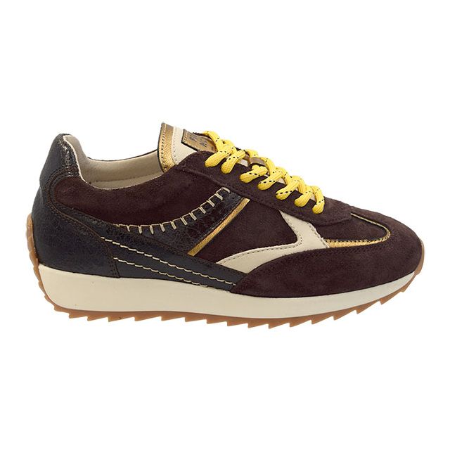 Piedi Nudi Harlem H bruin