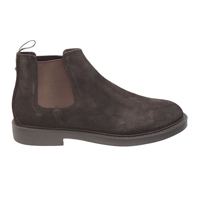 Greve Highland bruin