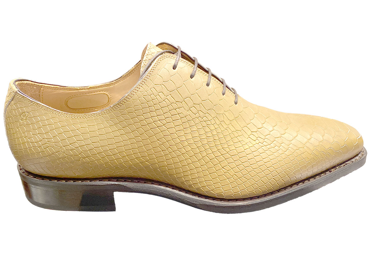 Blanco leren schoen als basis voor handmatig verven